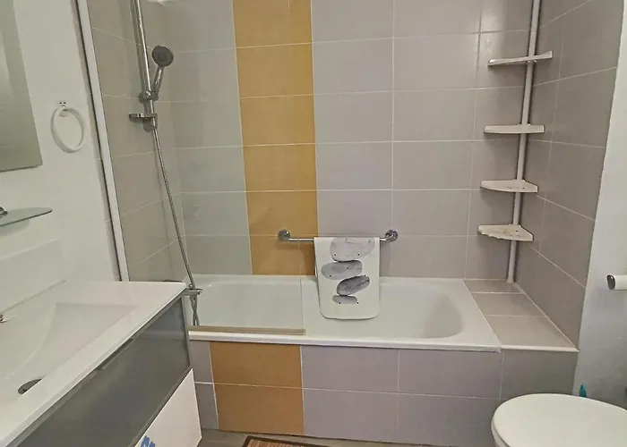 Ideale Avec Piscine Chauffee A 1500m Des Plages, 3 Et Parking, - Fr-1-732-31 * 滨海阿热莱斯